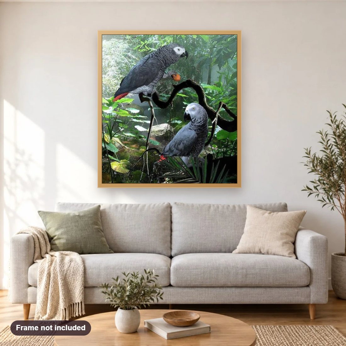 Congo African Grey Parrots diamond painting shown framed on a living room wall above a sofa