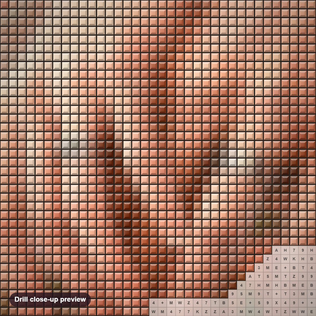 Close-up preview of the Couple Picking Roses diamond painting with square 5D drills and printed canvas symbols