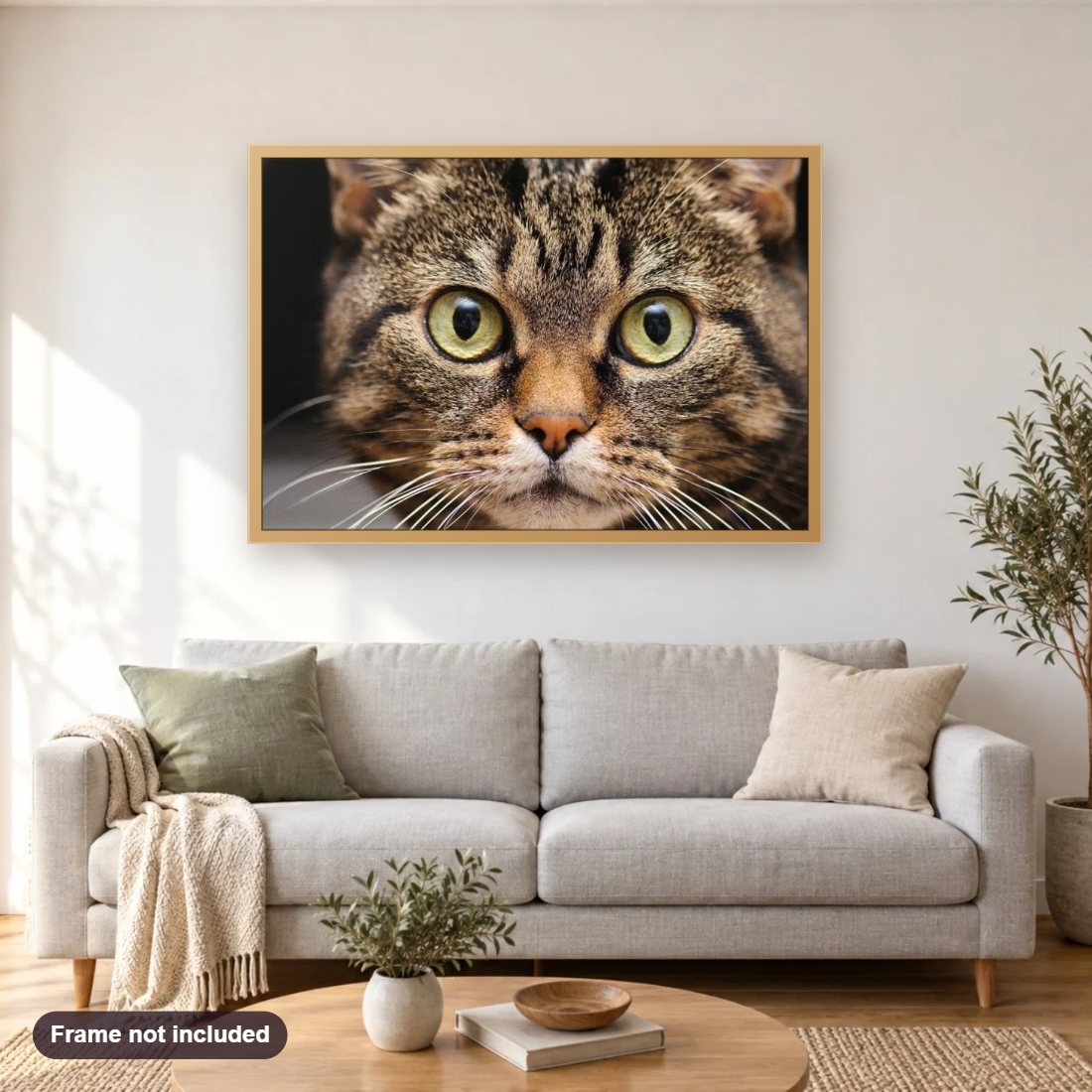 Cute Cat with Big Eyes diamond painting shown framed on a living room wall above a sofa