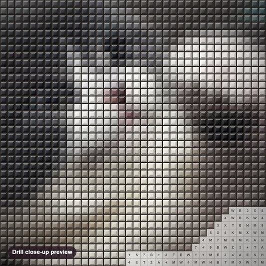 Close-up preview of the Cute Baby Cat diamond painting with square 5D drills and printed canvas symbols