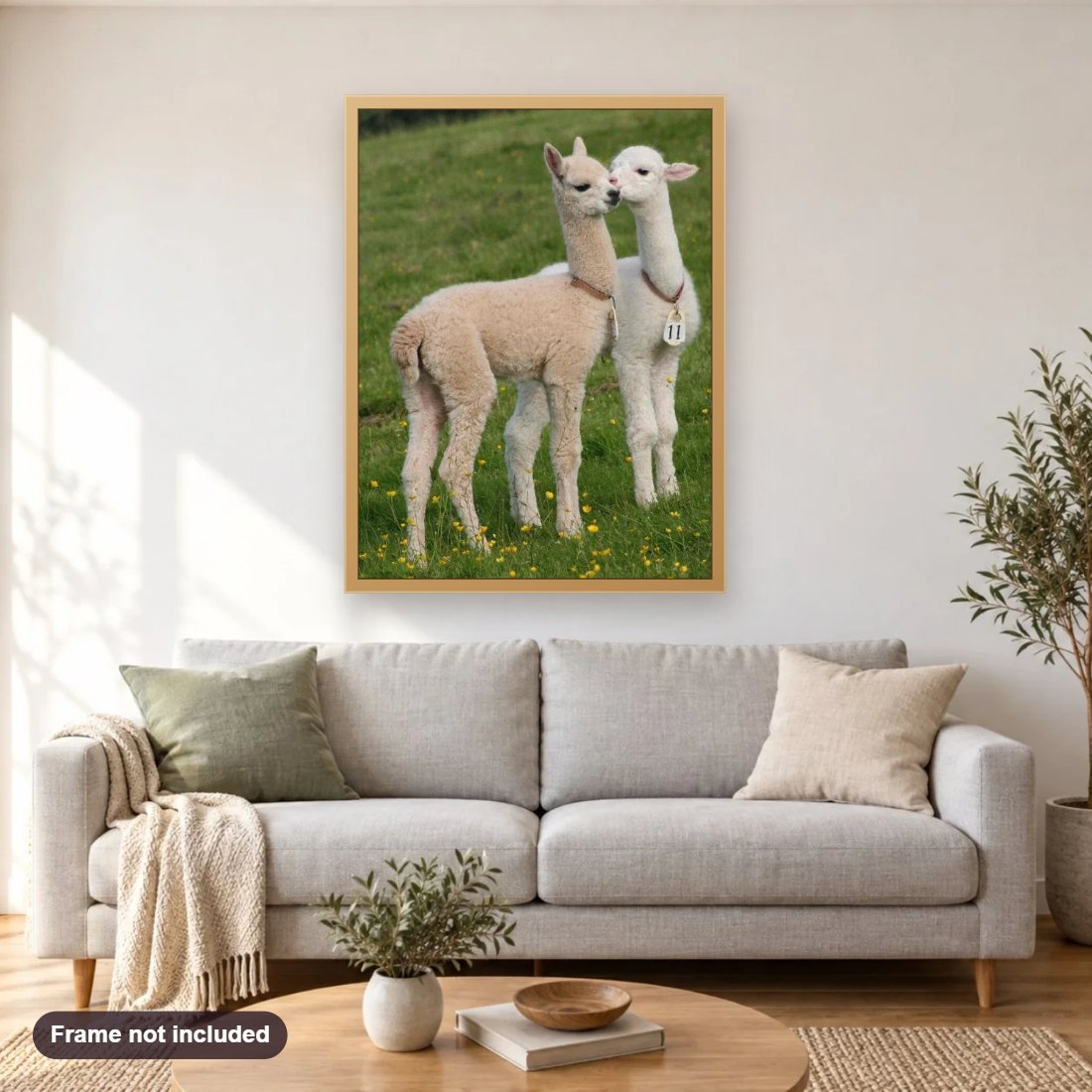 Cute Baby Llamas diamond painting shown framed on a living room wall above a sofa
