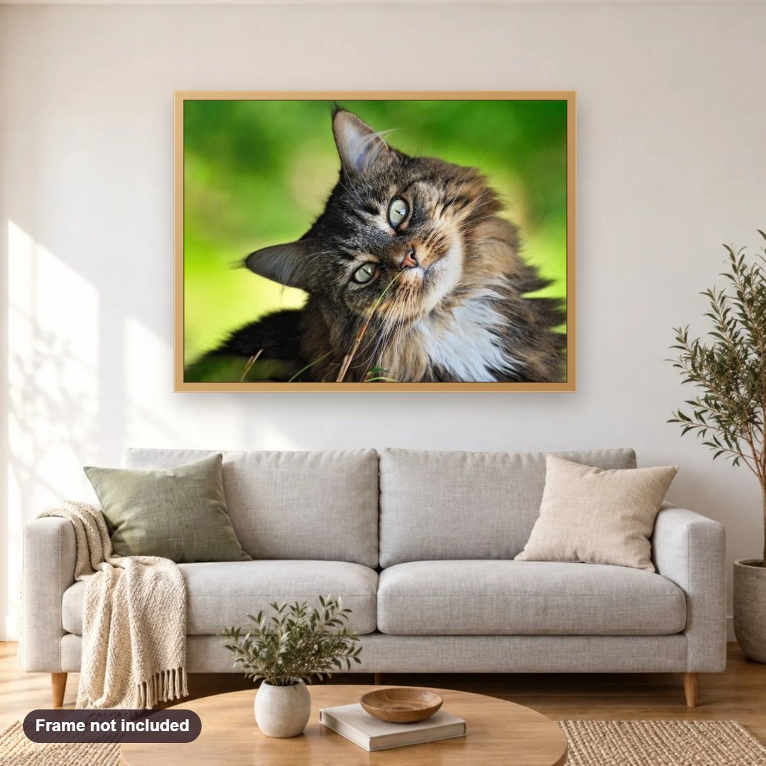Cute Cat Looking Sideways diamond painting shown framed on a living room wall above a sofa