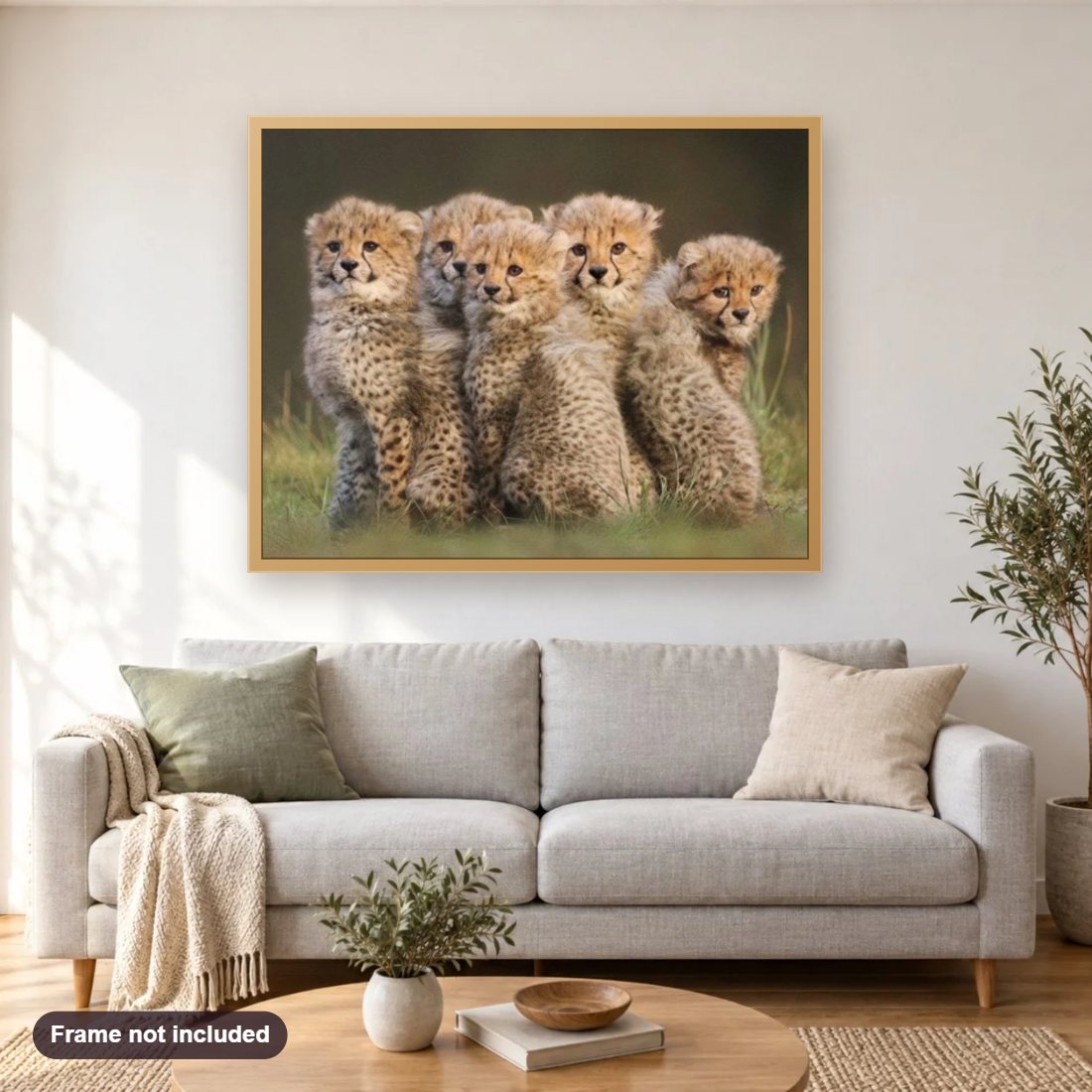 Cute Cheetah Cubs diamond painting shown framed on a living room wall above a sofa
