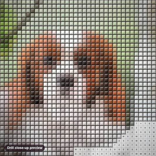 Close-up preview of the Cute Dogs & Bunch of Grapes diamond painting with square 5D drills and printed canvas symbols