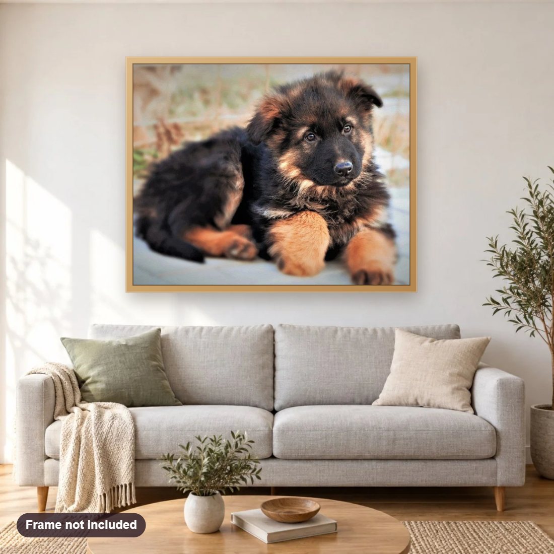 Cute German Shepherd Puppy diamond painting shown framed on a living room wall above a sofa