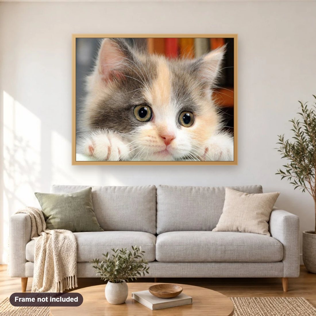 Cute Kitten diamond painting shown framed on a living room wall above a sofa