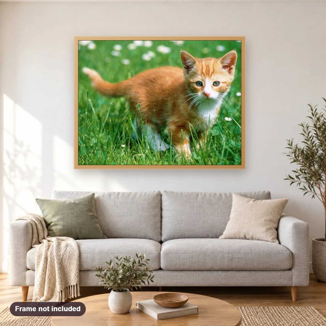 Cute Kitten & Green Grass diamond painting shown framed on a living room wall above a sofa