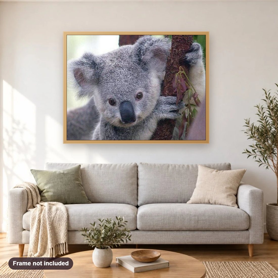 Cute Koala Bear diamond painting shown framed on a living room wall above a sofa