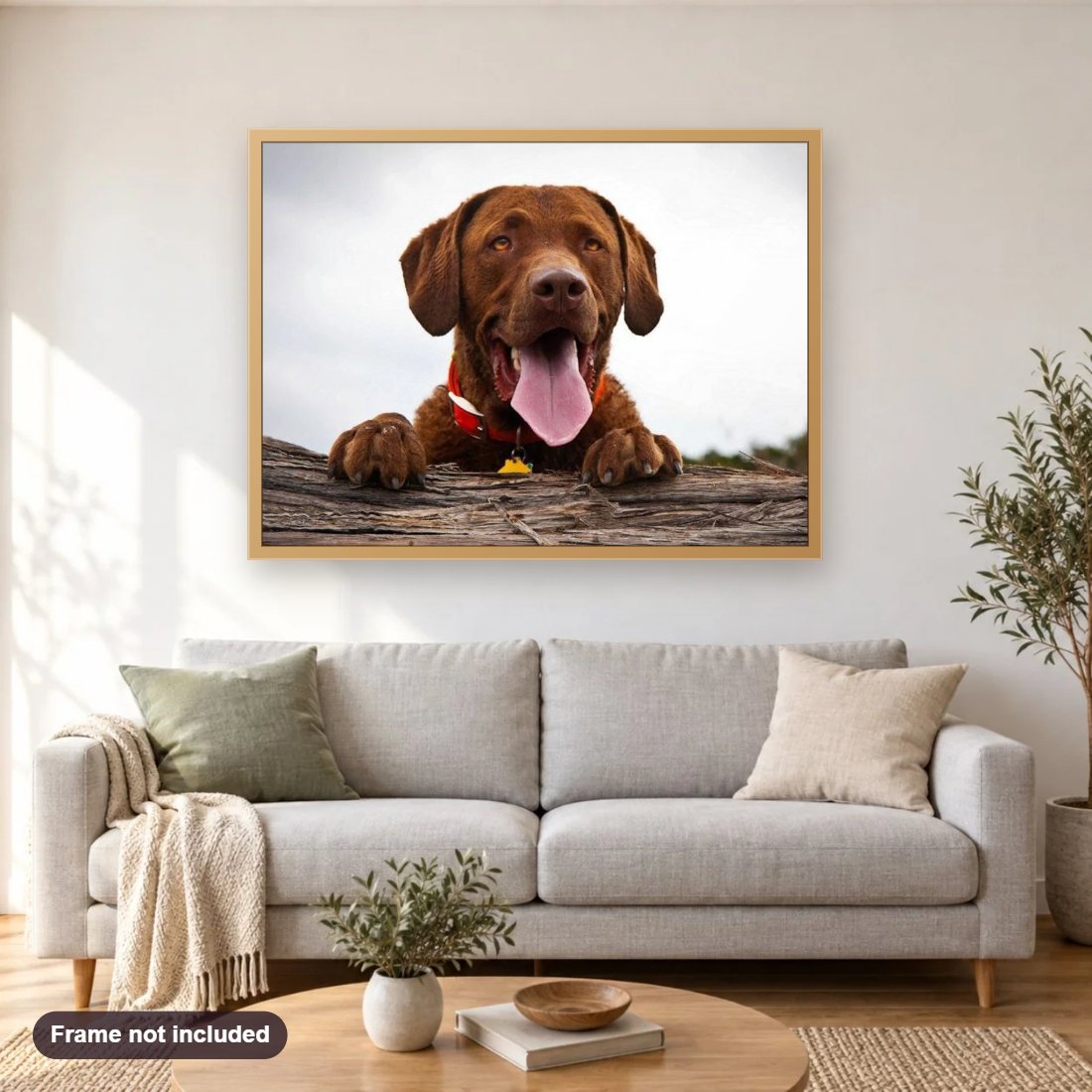 Cute Labrador diamond painting shown framed on a living room wall above a sofa