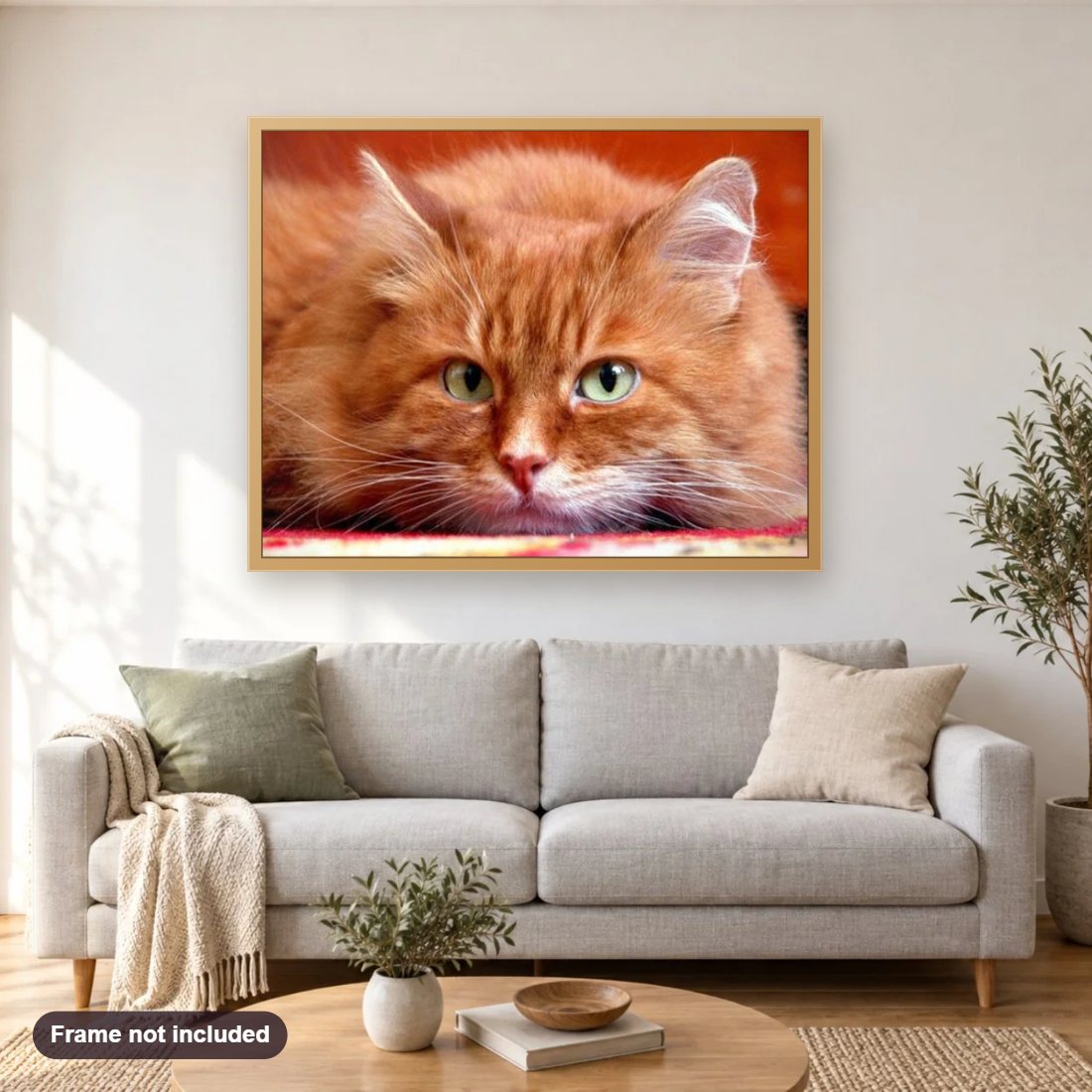Cute Orange Cat diamond painting shown framed on a living room wall above a sofa