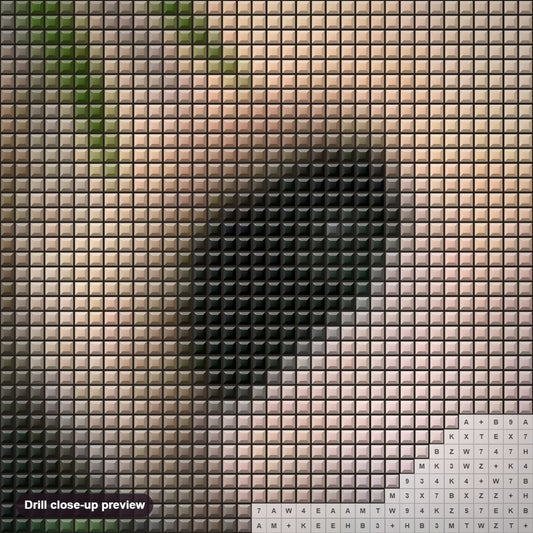 Close-up preview of the Cute Panda diamond painting with square 5D drills and printed canvas symbols