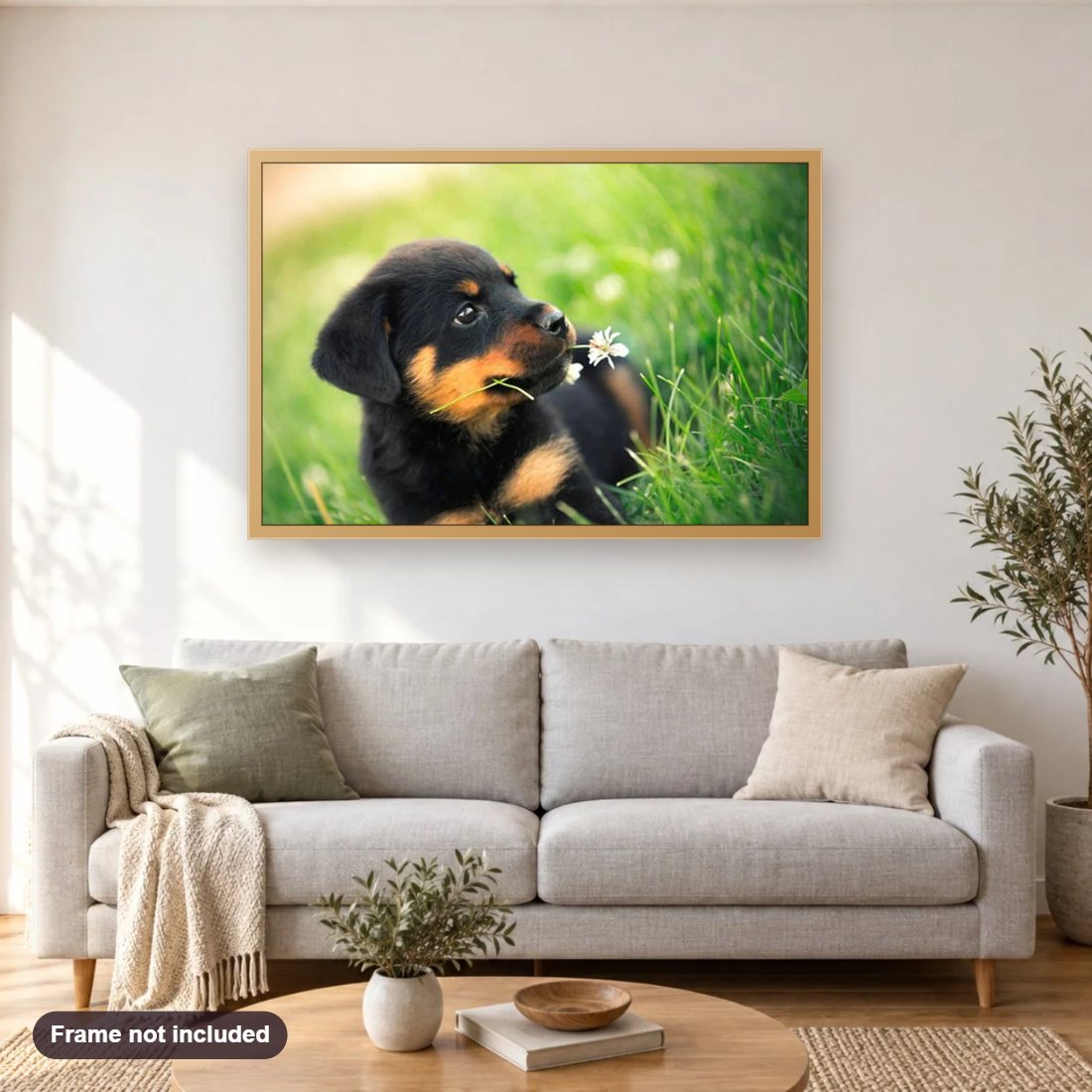 Cute Rottweiler Puppy diamond painting shown framed on a living room wall above a sofa