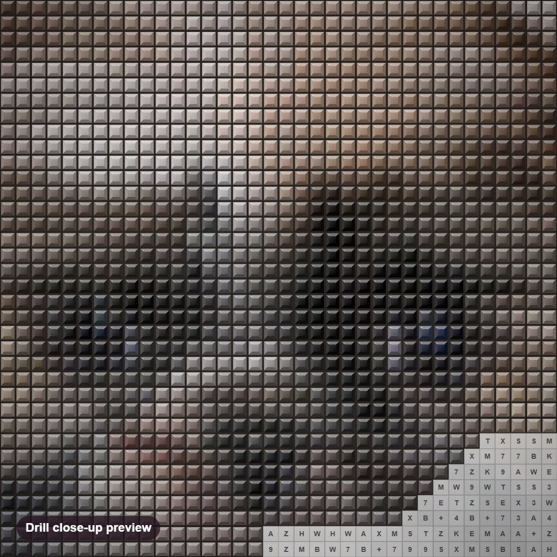 Close-up preview of the Cute Shih Tzu Dog diamond painting with square 5D drills and printed canvas symbols