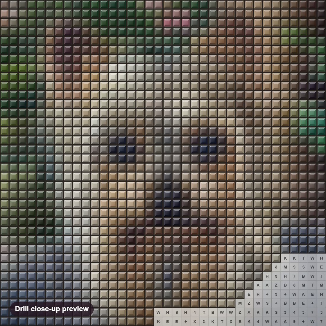 Close-up preview of the Cute Yorkshire Terrier diamond painting with square 5D drills and printed canvas symbols