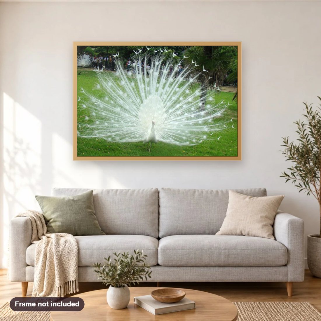 Dancing White Peacock diamond painting shown framed on a living room wall above a sofa