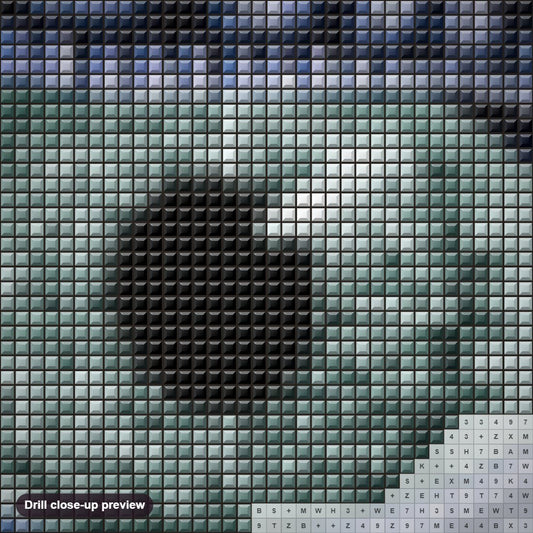 Close-up preview of the Dragon Eye diamond painting with square 5D drills and printed canvas symbols