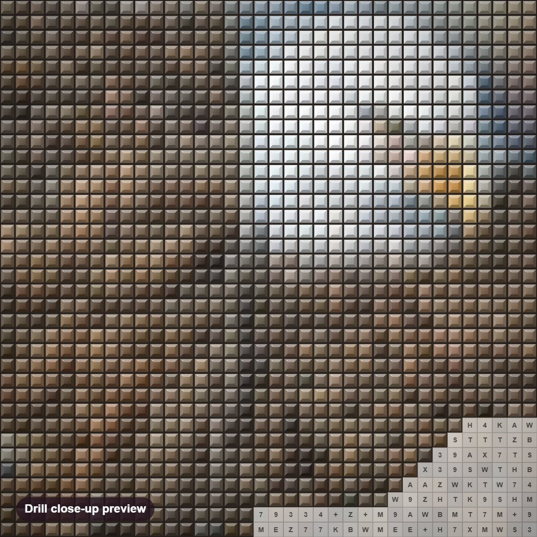 Close-up preview of the Eagle Family in the Nest diamond painting with square 5D drills and printed canvas symbols