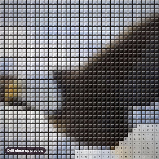 Close-up preview of the Eagle Flying on Snowy Mountains diamond painting with square 5D drills and printed canvas symbols