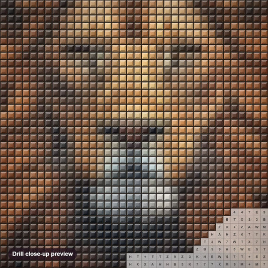Close-up preview of the Enigmatic Brown Lion diamond painting with square 5D drills and printed canvas symbols