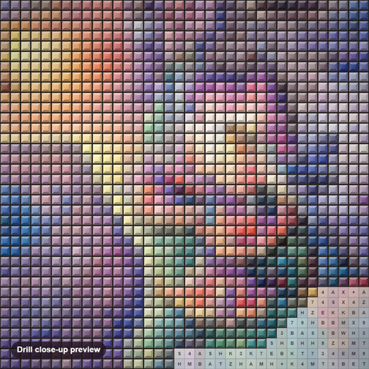 Close-up preview of the Fantasy Princess 5D Full Drill diamond painting with square 5D drills and printed canvas symbols