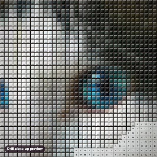 Close-up preview of the Fascinating Cat with Blue Eyes diamond painting with square 5D drills and printed canvas symbols