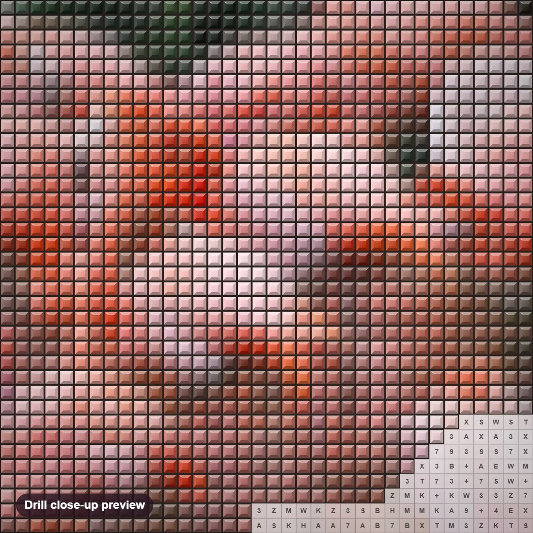 Close-up preview of the Flamingos Kingdom diamond painting with square 5D drills and printed canvas symbols