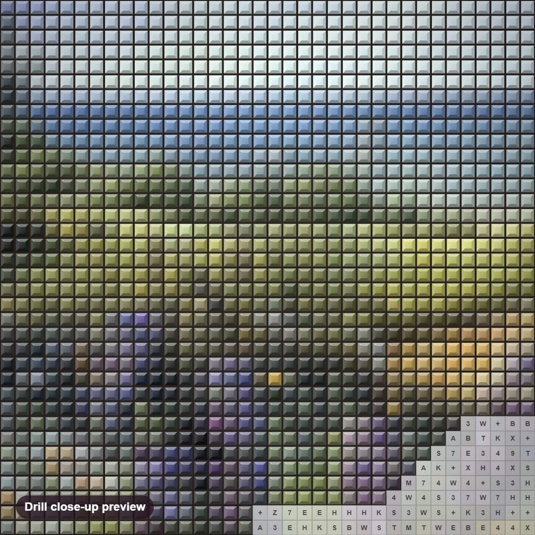Close-up preview of the Flower Meadows diamond painting with square 5D drills and printed canvas symbols