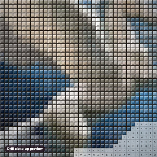 Close-up preview of the Flying Horse diamond painting with square 5D drills and printed canvas symbols