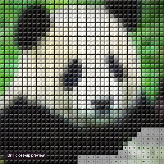 Close-up preview of the Forest Panda diamond painting with square 5D drills and printed canvas symbols