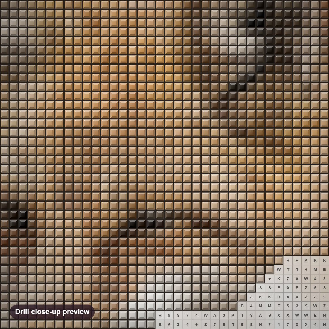 Close-up preview of the Fox diamond painting with square 5D drills and printed canvas symbols