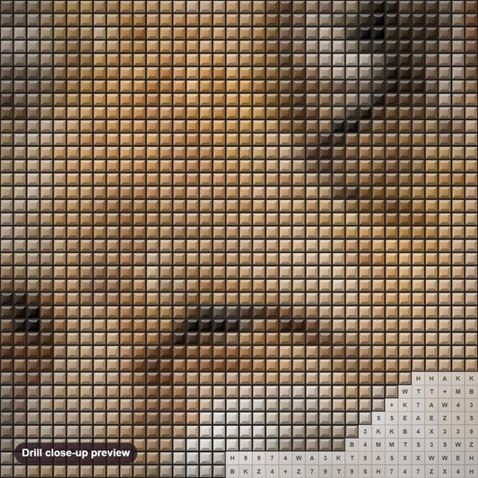 Close-up preview of the Fox diamond painting with square 5D drills and printed canvas symbols
