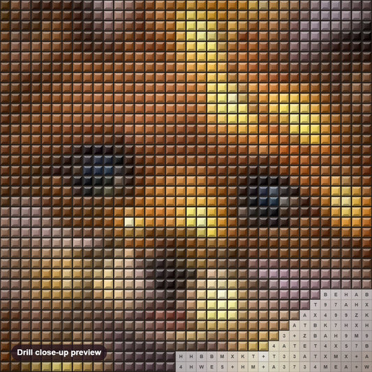 Close-up preview of the Fox diamond painting with square 5D drills and printed canvas symbols