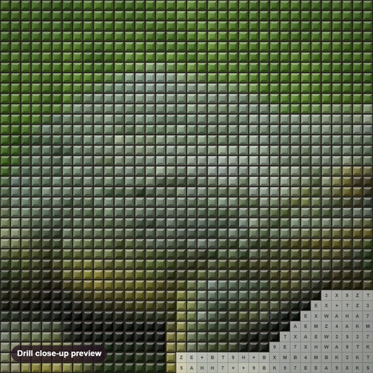 Close-up preview of the Frog diamond painting with square 5D drills and printed canvas symbols