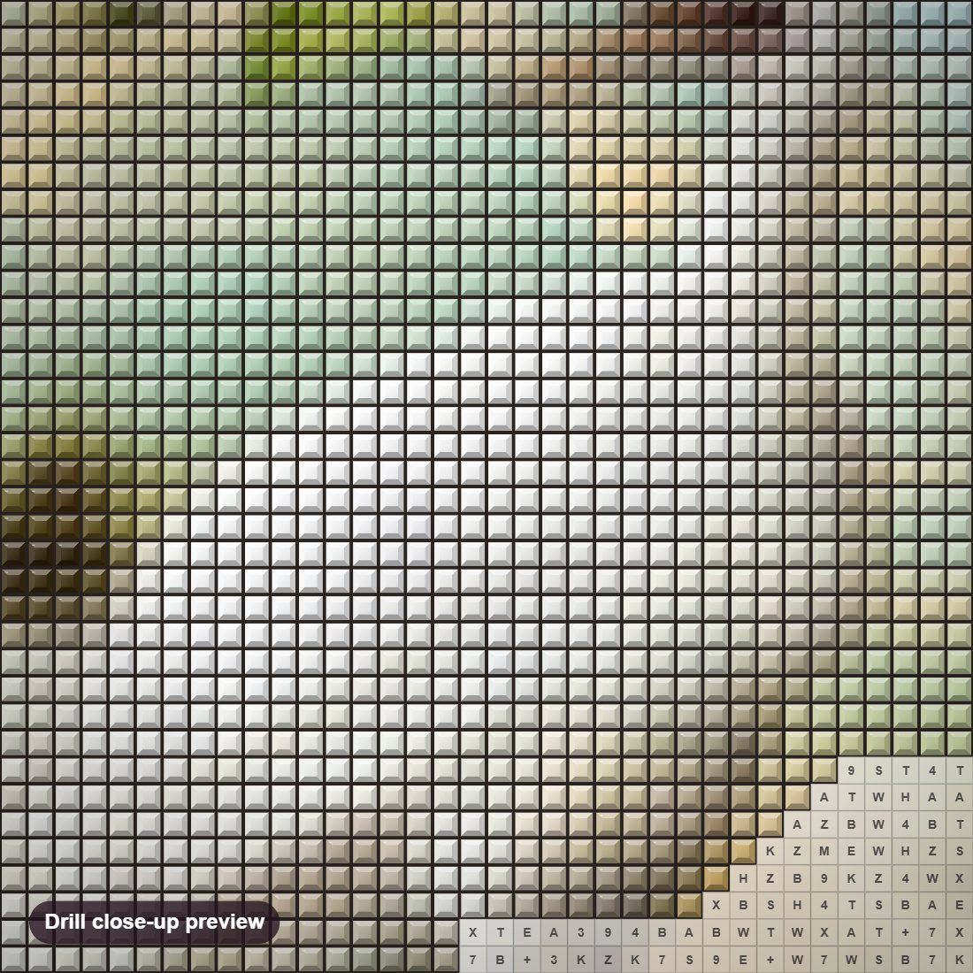 Close-up preview of the Fujian White Crane diamond painting with square 5D drills and printed canvas symbols
