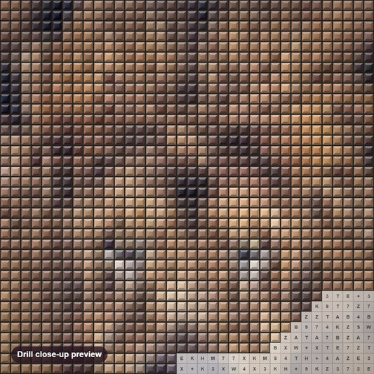 Close-up preview of the Furious Lion diamond painting with square 5D drills and printed canvas symbols