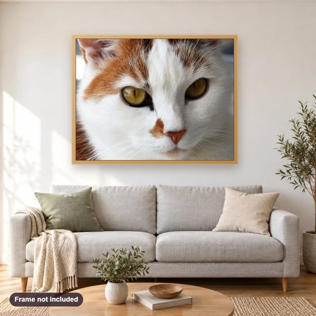 Gazing Cat diamond painting shown framed on a living room wall above a sofa