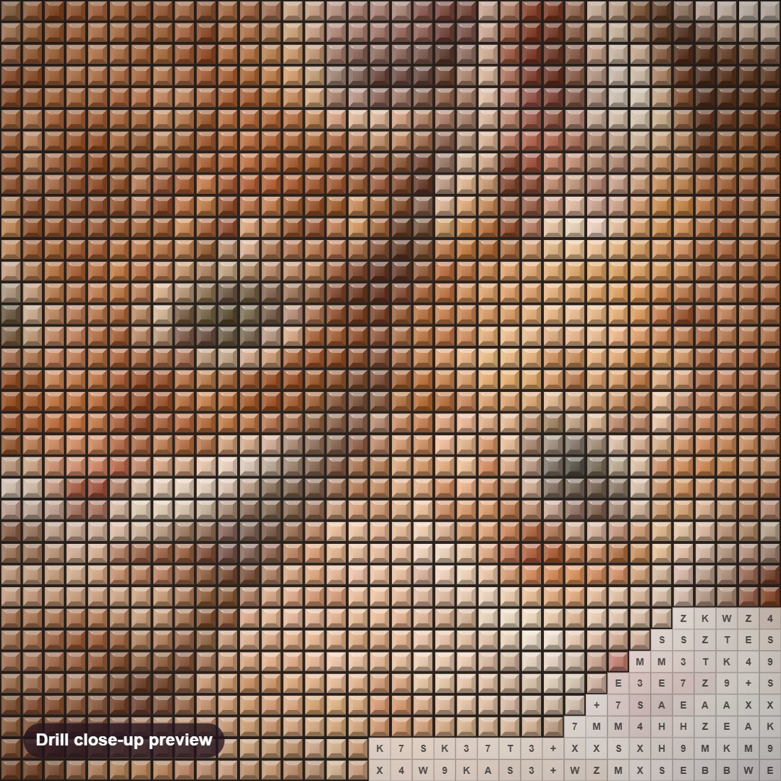 Close-up preview of the Ginger Cat Pair diamond painting with square 5D drills and printed canvas symbols