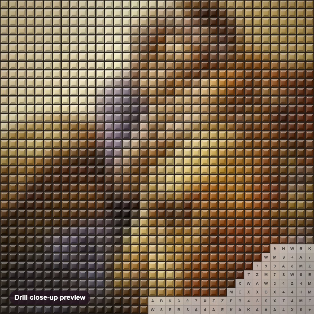 Close-up preview of the Girl & Lion diamond painting with square 5D drills and printed canvas symbols