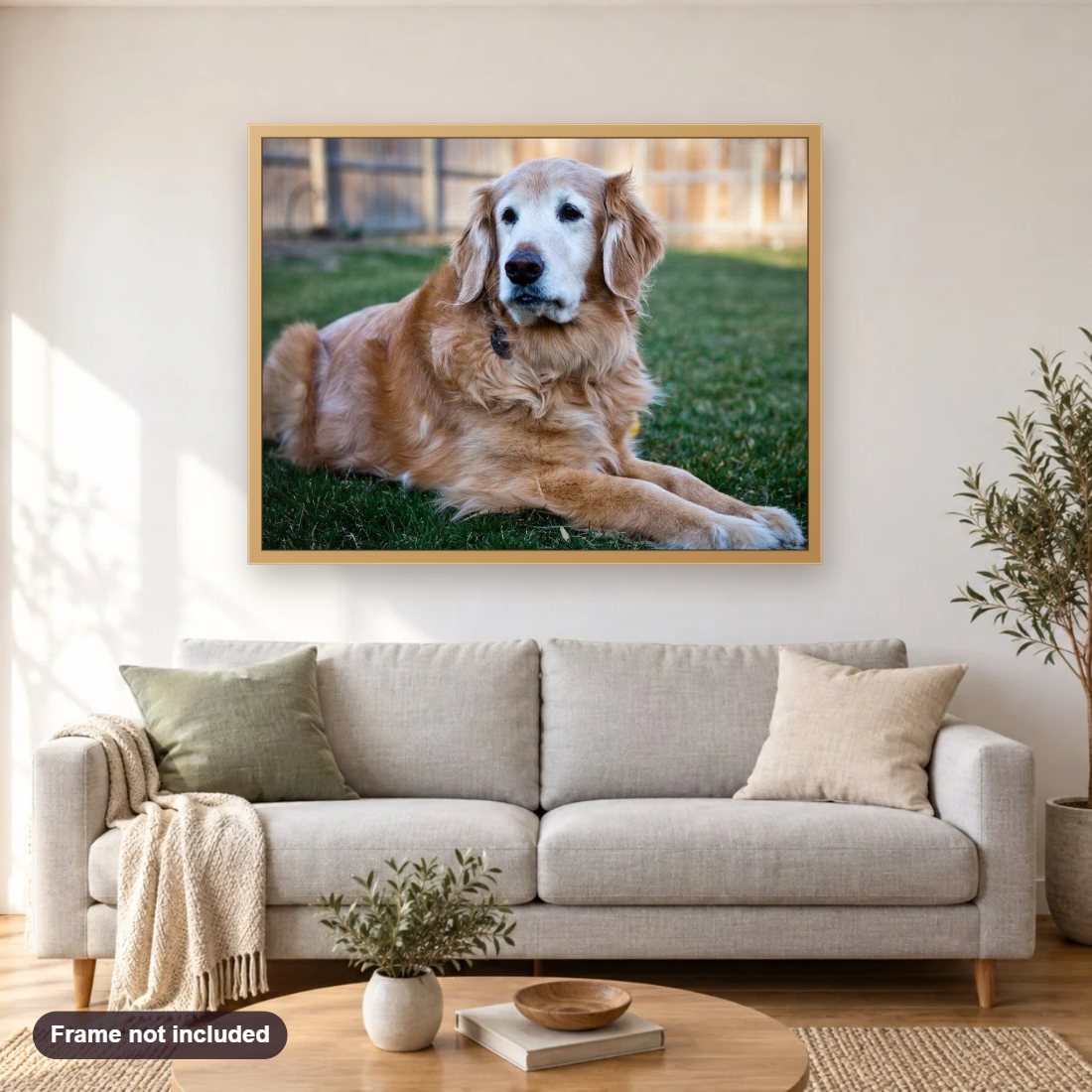 Golden Retriever Dog diamond painting shown framed on a living room wall above a sofa