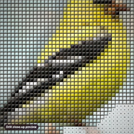 Close-up preview of the Goldfinch diamond painting with square 5D drills and printed canvas symbols