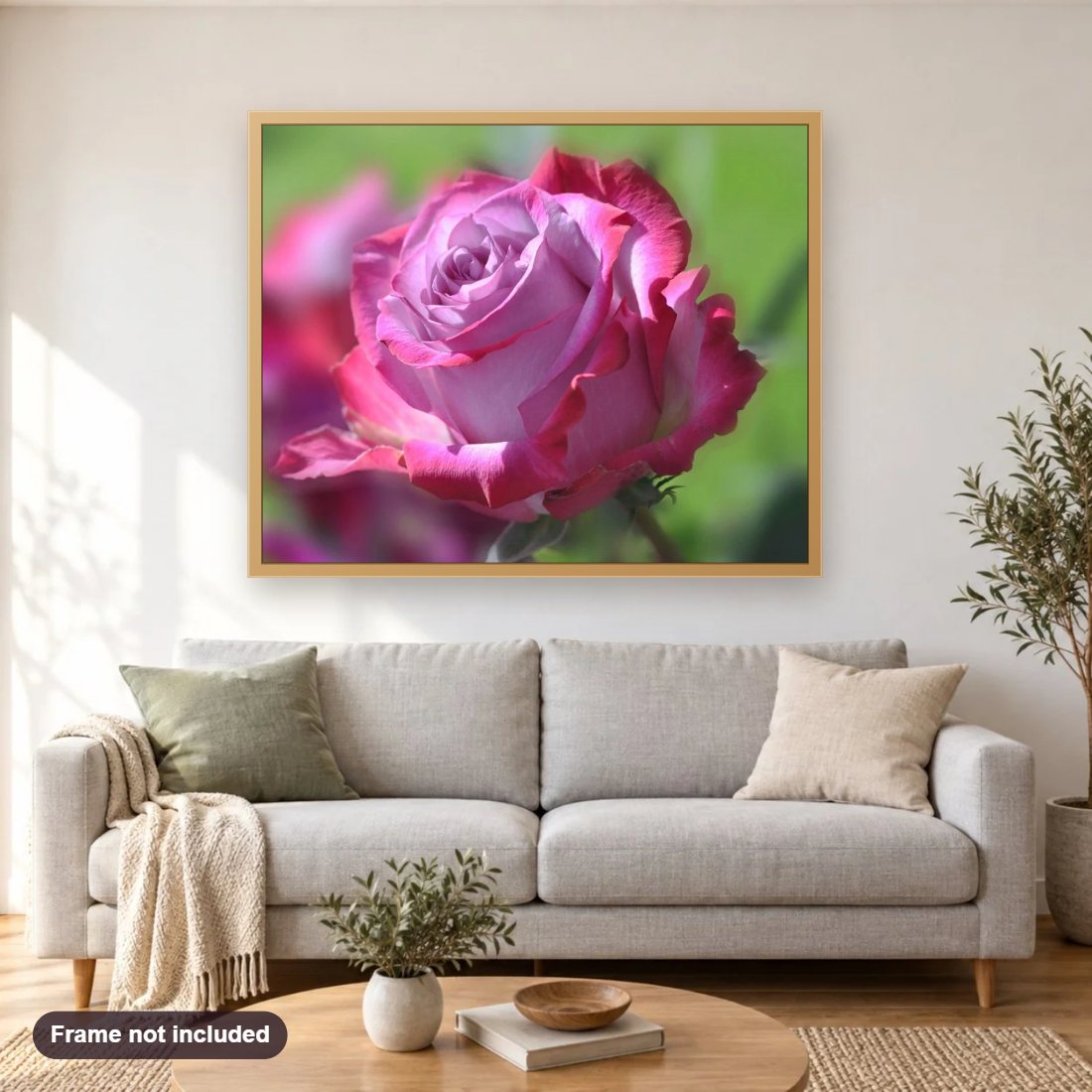 Gorgeous Pink Rose diamond painting shown framed on a living room wall above a sofa