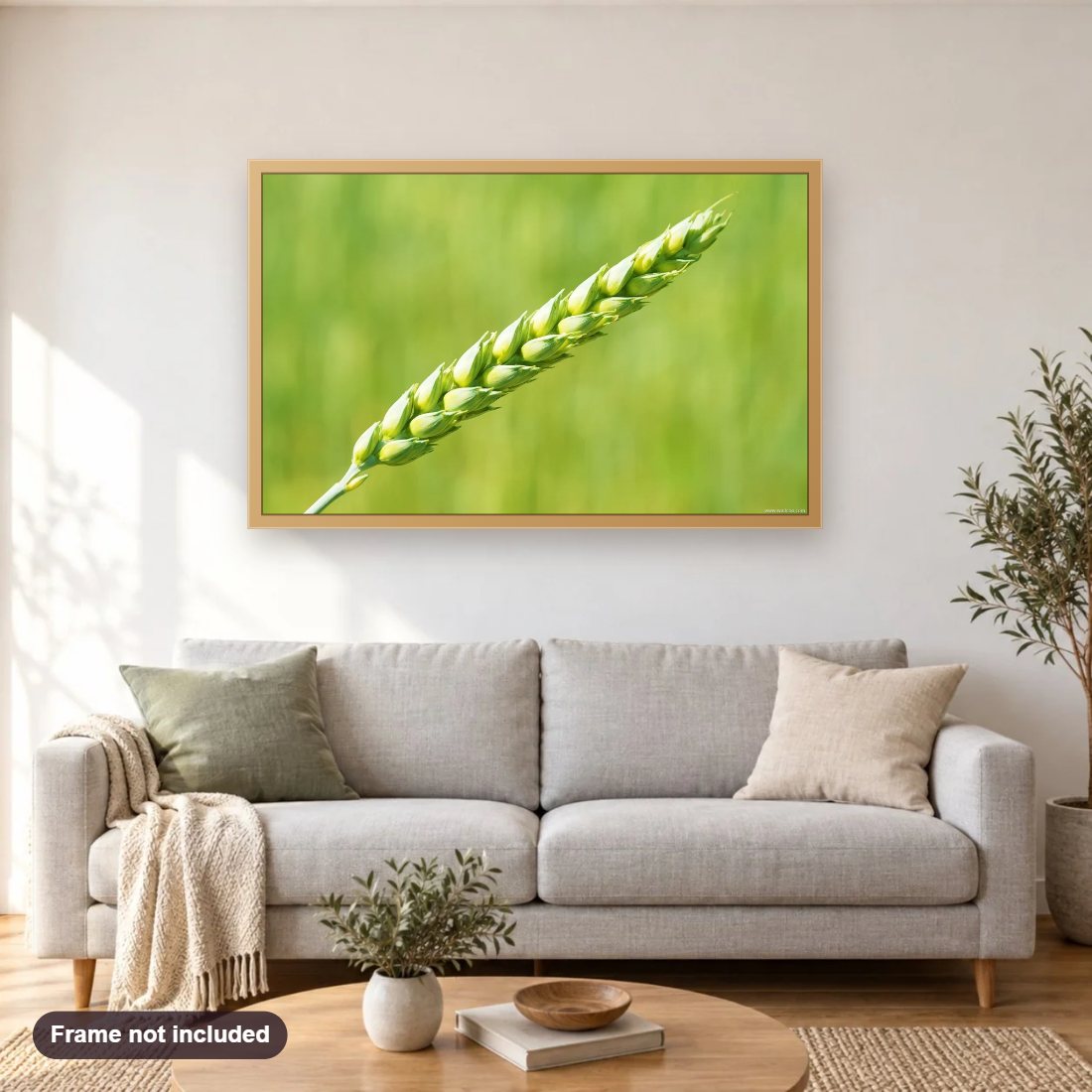 Green Wheat diamond painting shown framed on a living room wall above a sofa