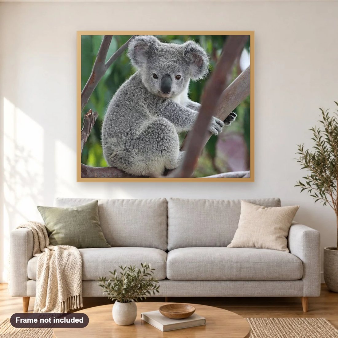 Grey Koala diamond painting shown framed on a living room wall above a sofa