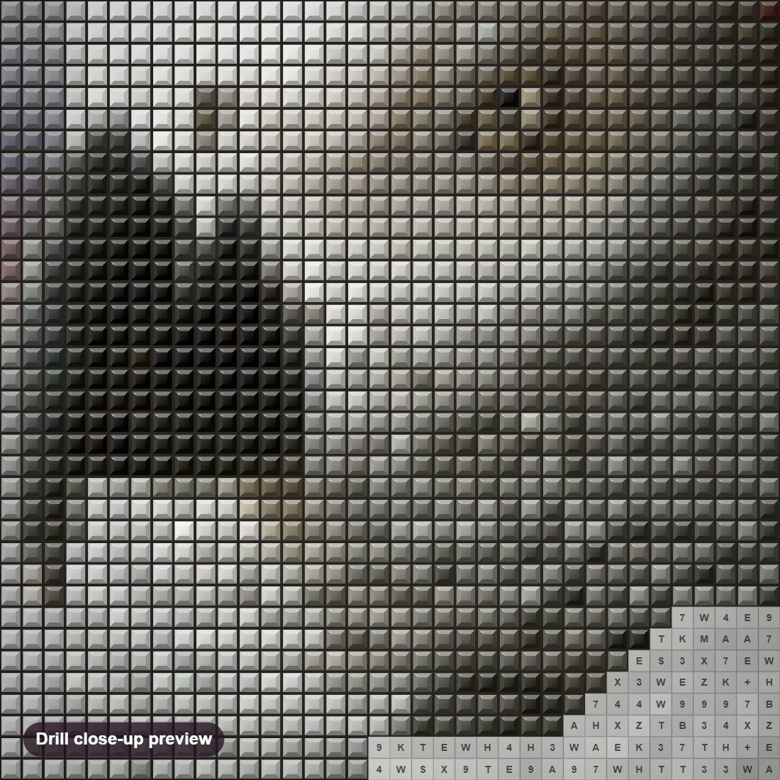 Close-up preview of the Grey Parrot diamond painting with square 5D drills and printed canvas symbols