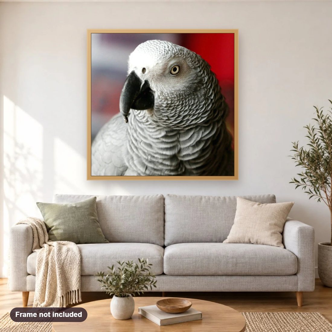 Grey Parrot diamond painting shown framed on a living room wall above a sofa