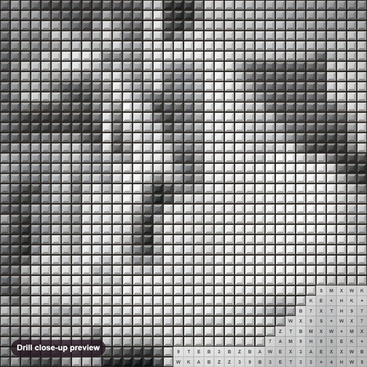 Close-up preview of the Guernica diamond painting with square 5D drills and printed canvas symbols