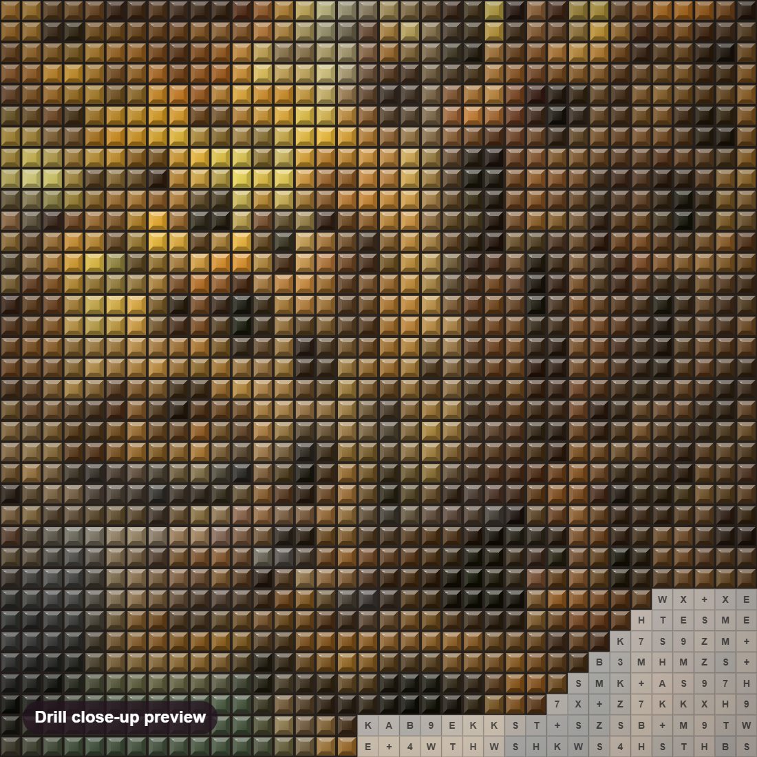 Close-up preview of the Guyana Jaguar diamond painting with square 5D drills and printed canvas symbols