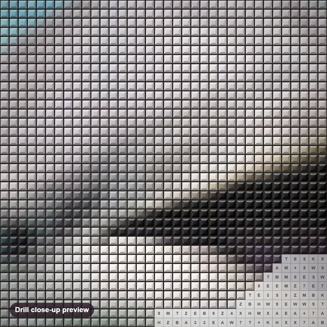 Close-up preview of the Happy Dolphin diamond painting with square 5D drills and printed canvas symbols