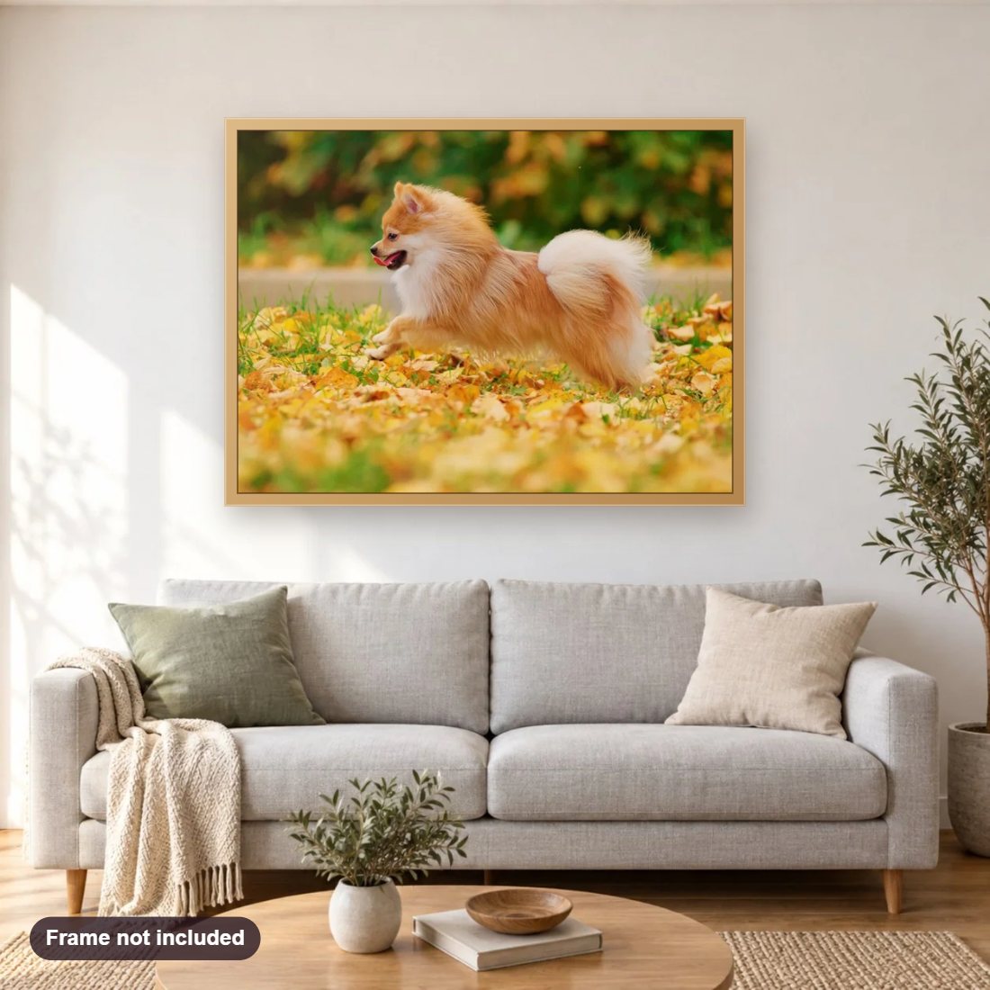 Happy Pomeranian diamond painting shown framed on a living room wall above a sofa