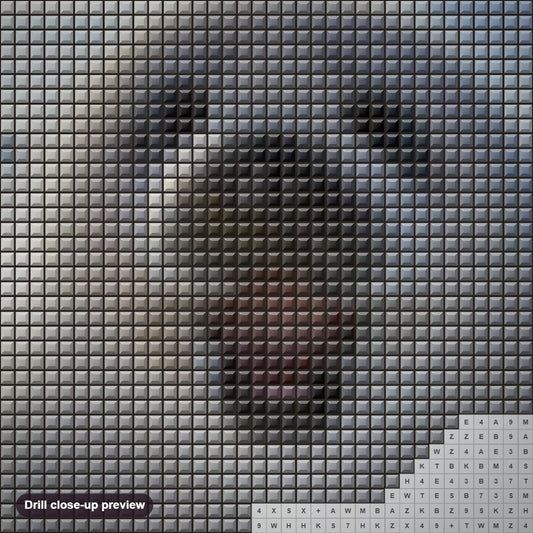 Close-up preview of the Happy White Seal Fish diamond painting with square 5D drills and printed canvas symbols